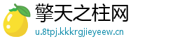 擎天之柱网
